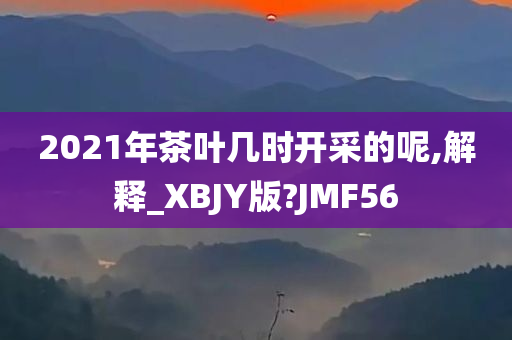 2021年茶叶几时开采的呢,解释_XBJY版?JMF56