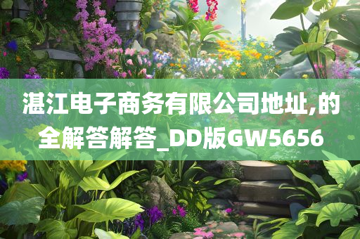 湛江电子商务有限公司地址,的全解答解答_DD版GW5656