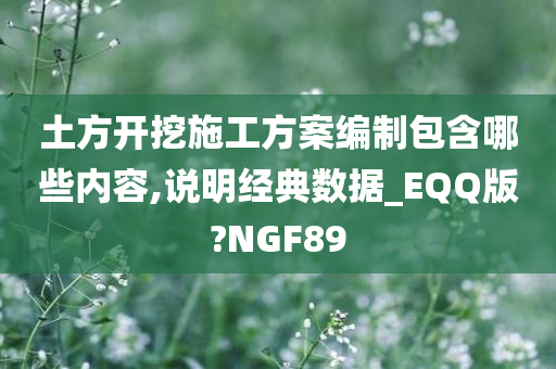 土方开挖施工方案编制包含哪些内容,说明经典数据_EQQ版?NGF89