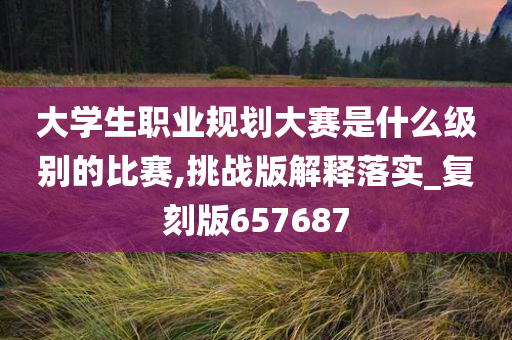 大学生职业规划大赛是什么级别的比赛,挑战版解释落实_复刻版657687