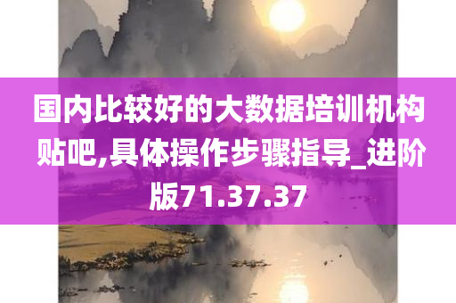 国内比较好的大数据培训机构 贴吧,具体操作步骤指导_进阶版71.37.37