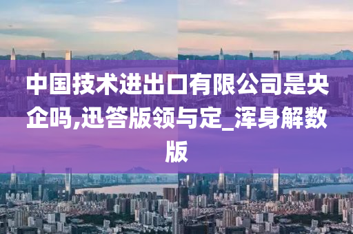 中国技术进出口有限公司是央企吗,迅答版领与定_浑身解数版