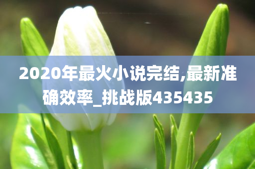 2020年最火小说完结,最新准确效率_挑战版435435