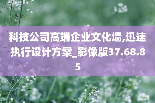 科技公司高端企业文化墙,迅速执行设计方案_影像版37.68.85