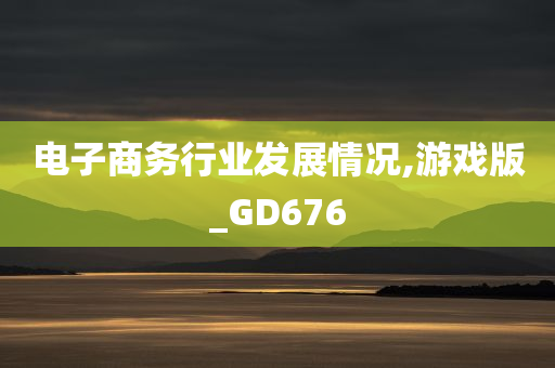 电子商务行业发展情况,游戏版_GD676