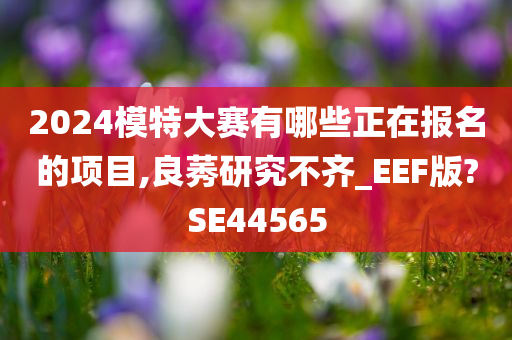 2024模特大赛有哪些正在报名的项目,良莠研究不齐_EEF版?SE44565