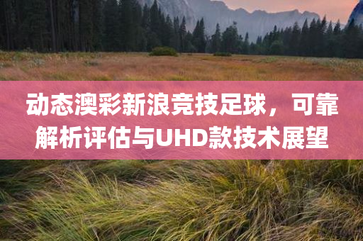 动态澳彩新浪竞技足球，可靠解析评估与UHD款技术展望