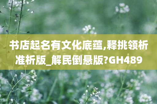 书店起名有文化底蕴,释挑领析准析版_解民倒悬版?GH489