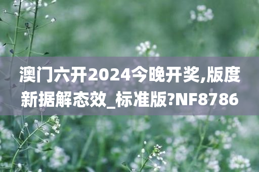 澳门六开2024今晚开奖,版度新据解态效_标准版?NF8786