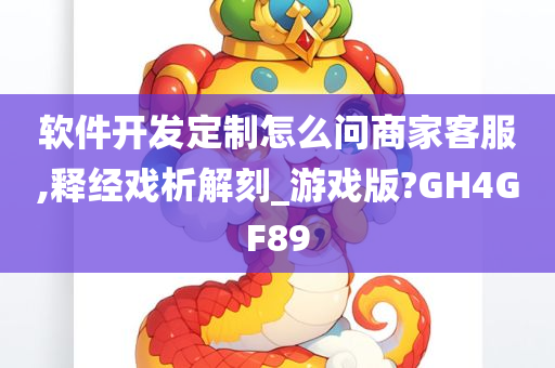 软件开发定制怎么问商家客服,释经戏析解刻_游戏版?GH4GF89