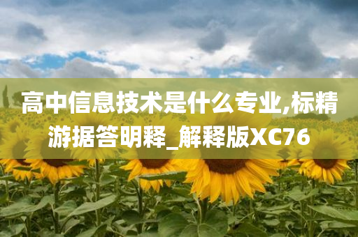 高中信息技术是什么专业,标精游据答明释_解释版XC76