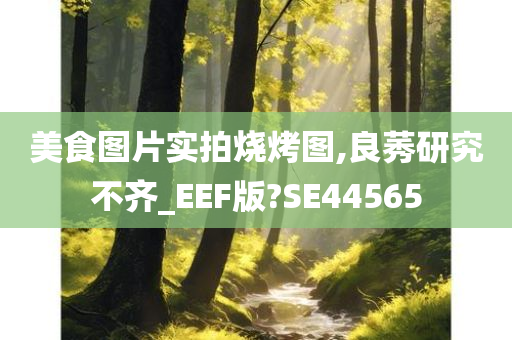 美食图片实拍烧烤图,良莠研究不齐_EEF版?SE44565