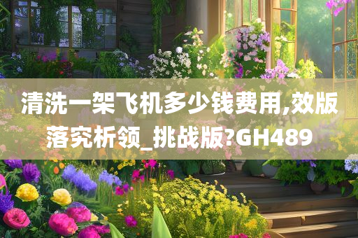 清洗一架飞机多少钱费用,效版落究析领_挑战版?GH489