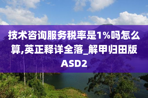 技术咨询服务税率是1%吗怎么算,英正释详全落_解甲归田版ASD2