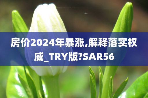 房价2024年暴涨,解释落实权威_TRY版?SAR56