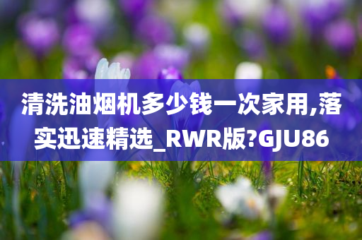 清洗油烟机多少钱一次家用,落实迅速精选_RWR版?GJU86