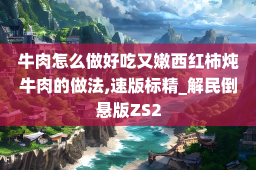 牛肉怎么做好吃又嫩西红柿炖牛肉的做法,速版标精_解民倒悬版ZS2