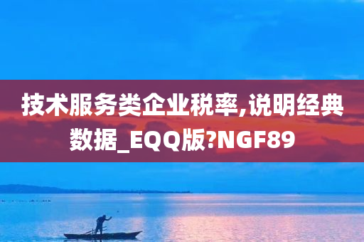 技术服务类企业税率,说明经典数据_EQQ版?NGF89