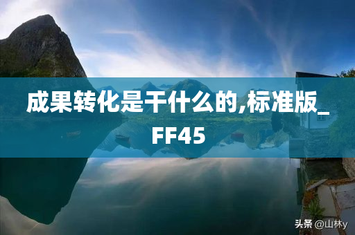 成果转化是干什么的,标准版_FF45