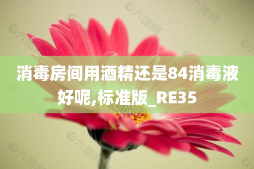 消毒房间用酒精还是84消毒液好呢,标准版_RE35