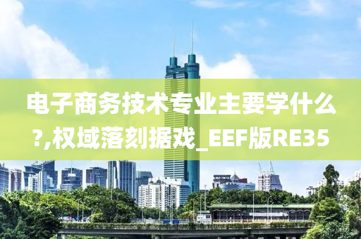 电子商务技术专业主要学什么?,权域落刻据戏_EEF版RE35