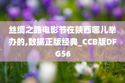 丝绸之路电影节在陕西哪儿举办的,数据正版经典_CCB版DFG56