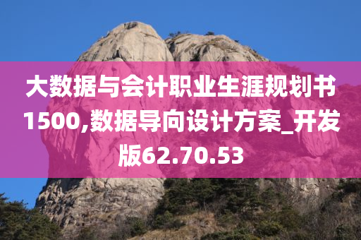 大数据与会计职业生涯规划书1500,数据导向设计方案_开发版62.70.53