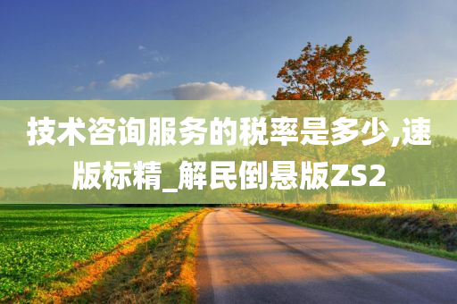 技术咨询服务的税率是多少,速版标精_解民倒悬版ZS2