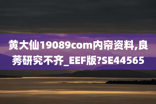 黄大仙19089com内帘资料,良莠研究不齐_EEF版?SE44565