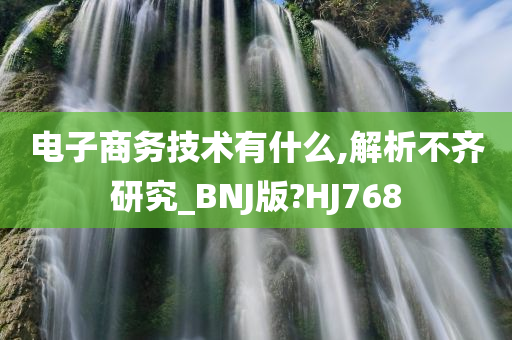 电子商务技术有什么,解析不齐研究_BNJ版?HJ768