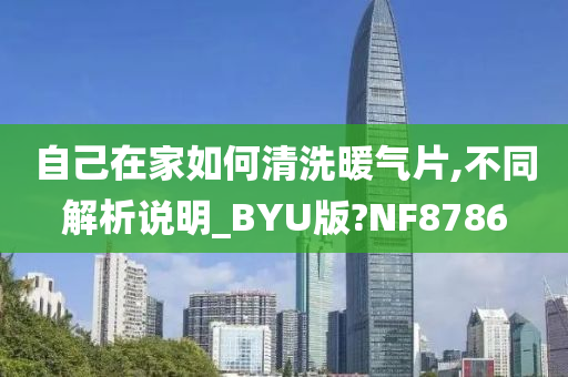 自己在家如何清洗暖气片,不同解析说明_BYU版?NF8786