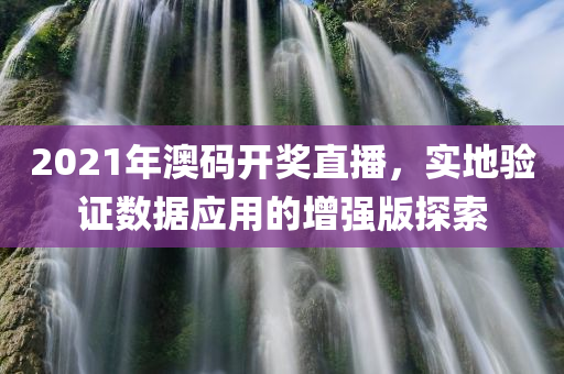 2021年澳码开奖直播，实地验证数据应用的增强版探索