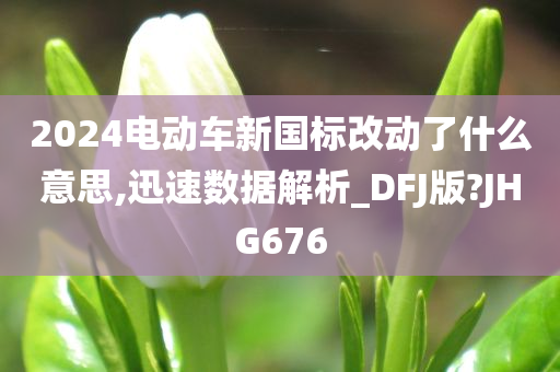 2024电动车新国标改动了什么意思,迅速数据解析_DFJ版?JHG676