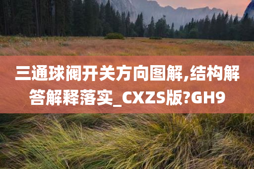 三通球阀开关方向图解,结构解答解释落实_CXZS版?GH9