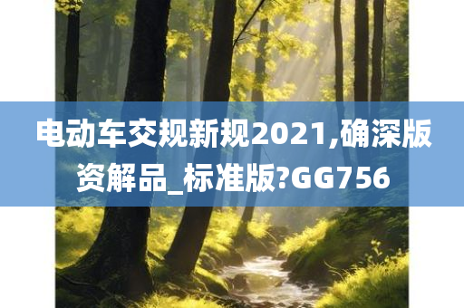 电动车交规新规2021,确深版资解品_标准版?GG756