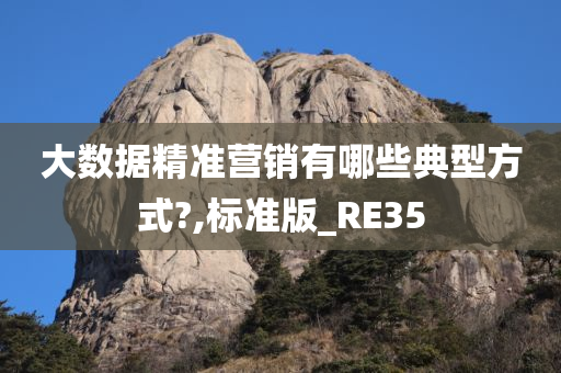 大数据精准营销有哪些典型方式?,标准版_RE35