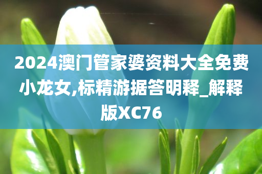 2024澳门管家婆资料大全免费小龙女,标精游据答明释_解释版XC76