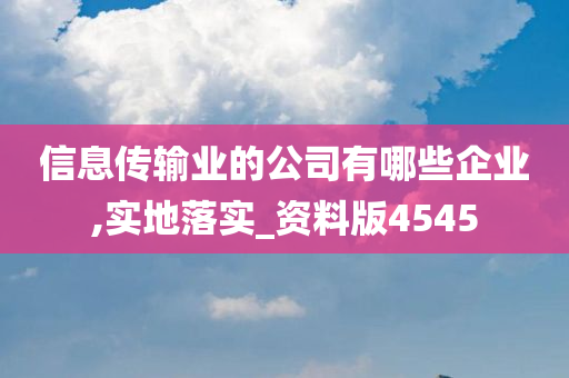 信息传输业的公司有哪些企业,实地落实_资料版4545