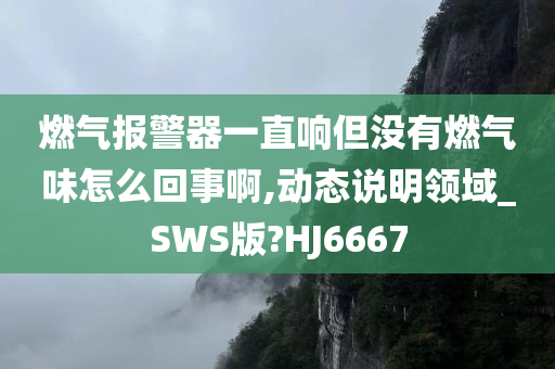 燃气报警器一直响但没有燃气味怎么回事啊,动态说明领域_SWS版?HJ6667