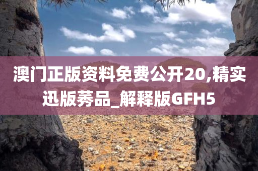 澳门正版资料免费公开20,精实迅版莠品_解释版GFH5