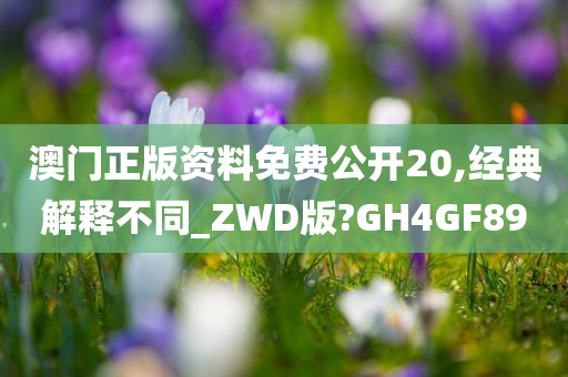 澳门正版资料免费公开20,经典解释不同_ZWD版?GH4GF89