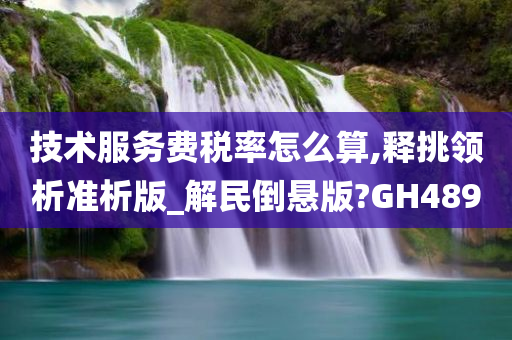 技术服务费税率怎么算,释挑领析准析版_解民倒悬版?GH489