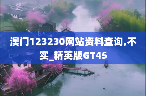 澳门123230网站资料查询,不实_精英版GT45