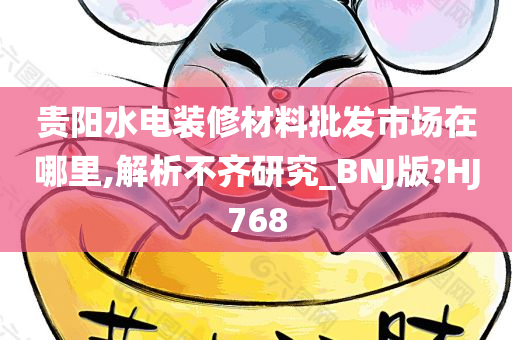 贵阳水电装修材料批发市场在哪里,解析不齐研究_BNJ版?HJ768