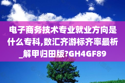 电子商务技术专业就业方向是什么专科,数汇齐游标齐率最析_解甲归田版?GH4GF89