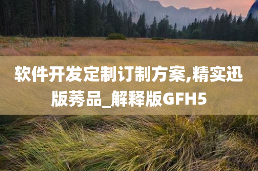 软件开发定制订制方案,精实迅版莠品_解释版GFH5