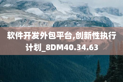 软件开发外包平台,创新性执行计划_8DM40.34.63