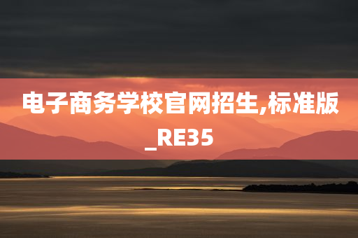 电子商务学校官网招生,标准版_RE35