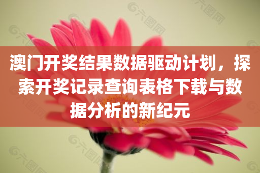 澳门开奖结果数据驱动计划，探索开奖记录查询表格下载与数据分析的新纪元