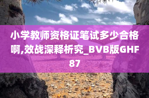 小学教师资格证笔试多少合格啊,效战深释析究_BVB版GHF87